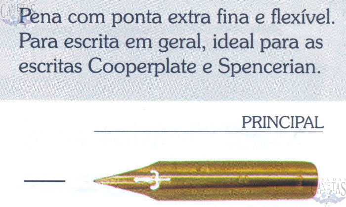 PRINCIPAL