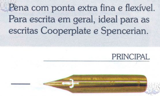 PRINCIPAL